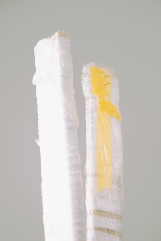 Chimaeriformes atelier sumbiosis 