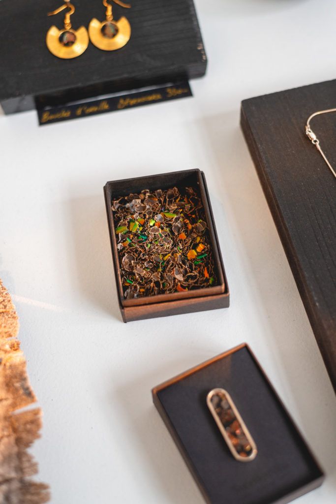 Chimaeriformes fafcea 