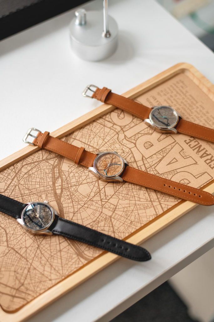 Chimaeriformes fafcea 