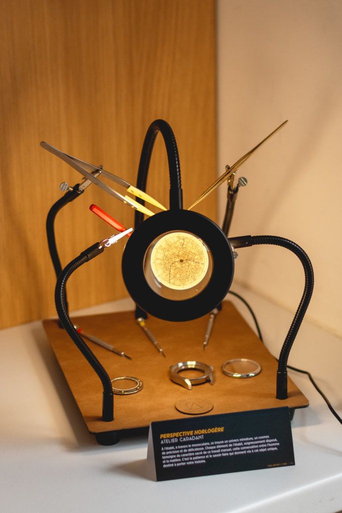 Chimaeriformes fafcea 