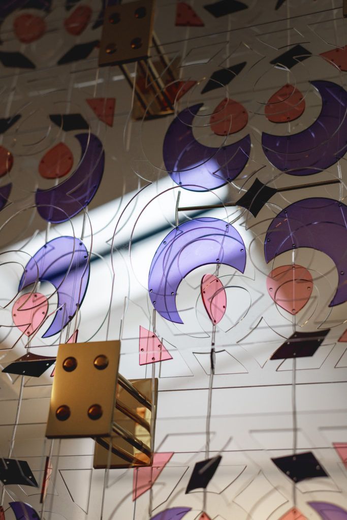 Chimaeriformes fafcea 