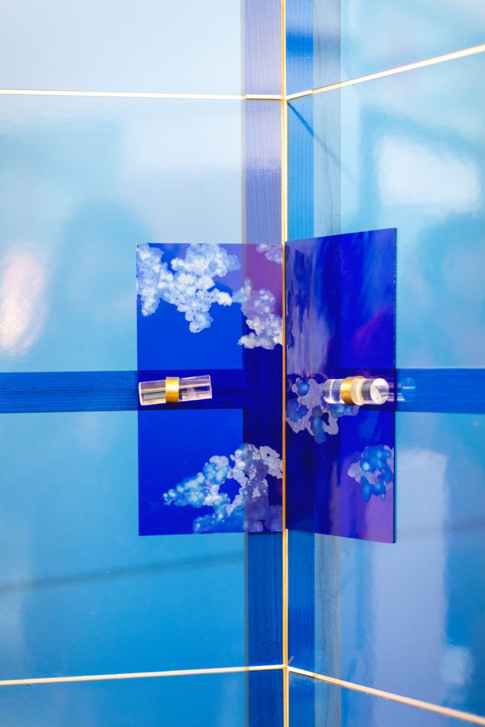 Chimaeriformes fafcea 