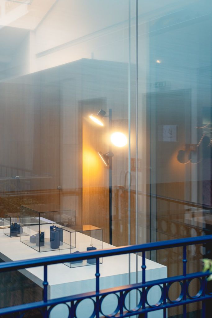 Chimaeriformes fafcea 