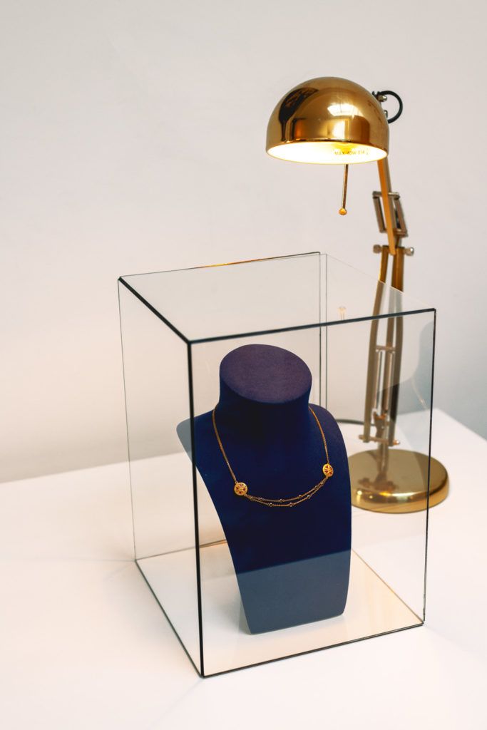 Chimaeriformes fafcea 