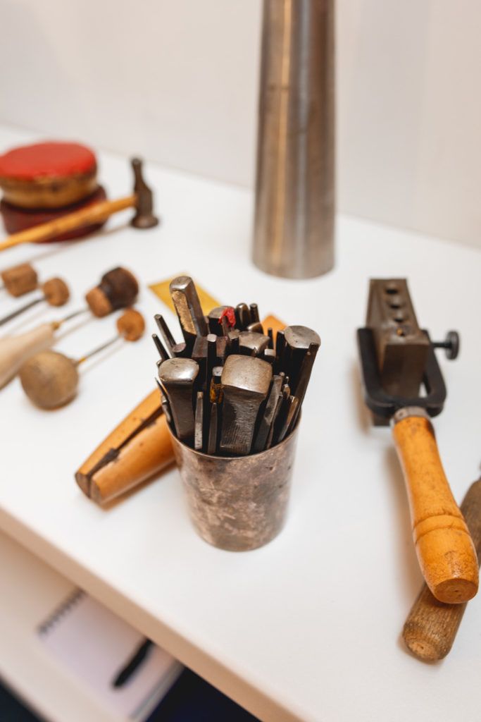 Chimaeriformes fafcea 