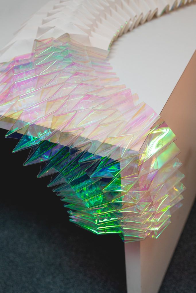 Chimaeriformes fafcea 