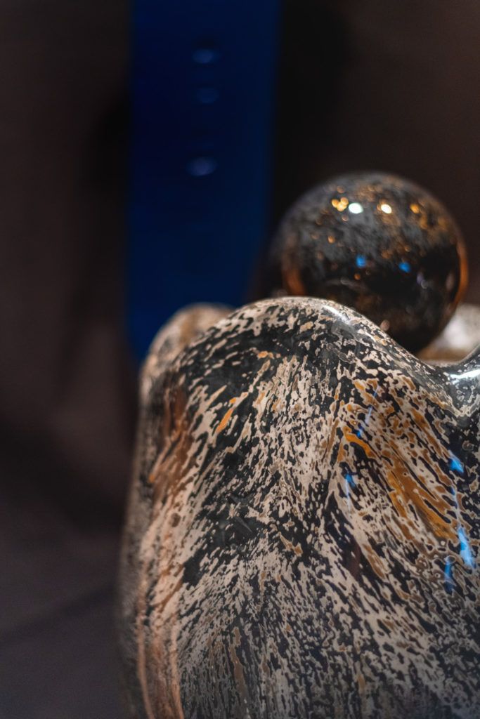 Chimaeriformes fafcea 