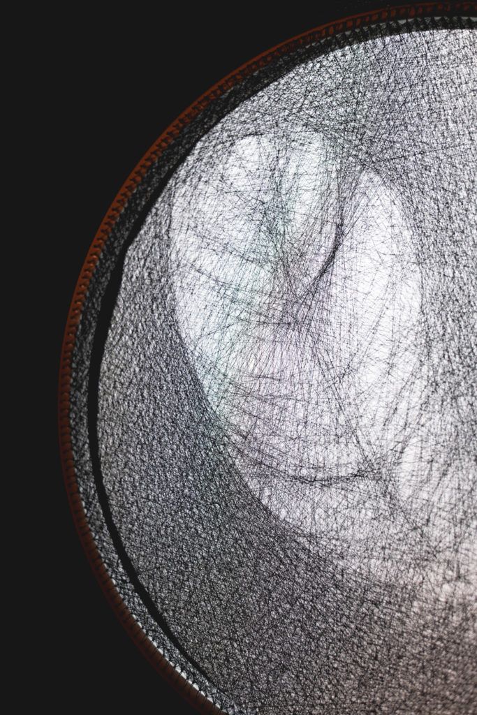 Chimaeriformes fafcea 