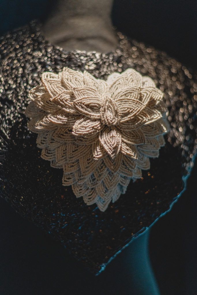 Chimaeriformes fafcea 