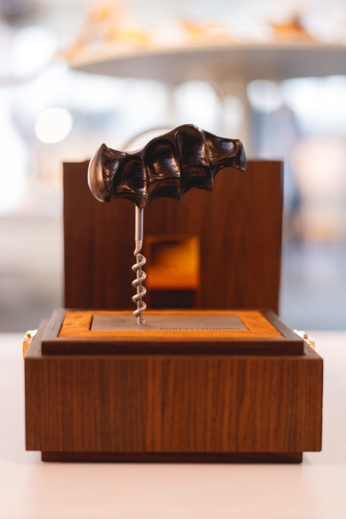 Chimaeriformes fafcea 