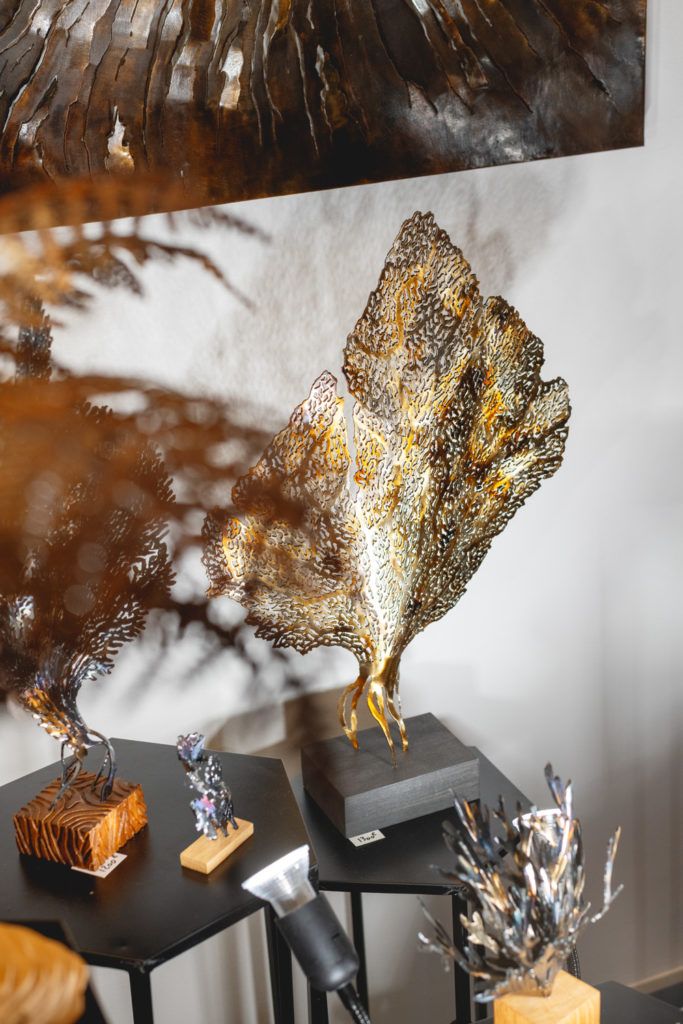 Chimaeriformes fafcea 