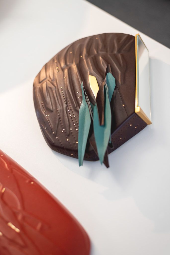 Chimaeriformes fafcea 