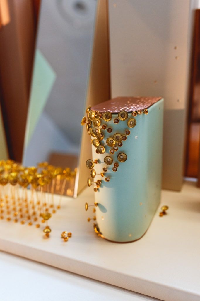 Chimaeriformes fafcea 