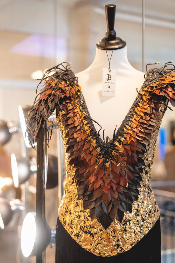 Chimaeriformes fafcea 