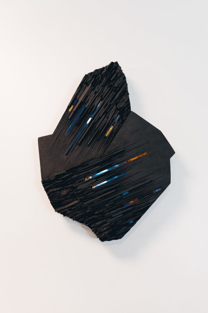 Chimaeriformes fafcea 