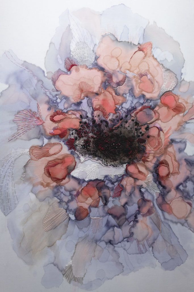 Chimaeriformes fafcea 