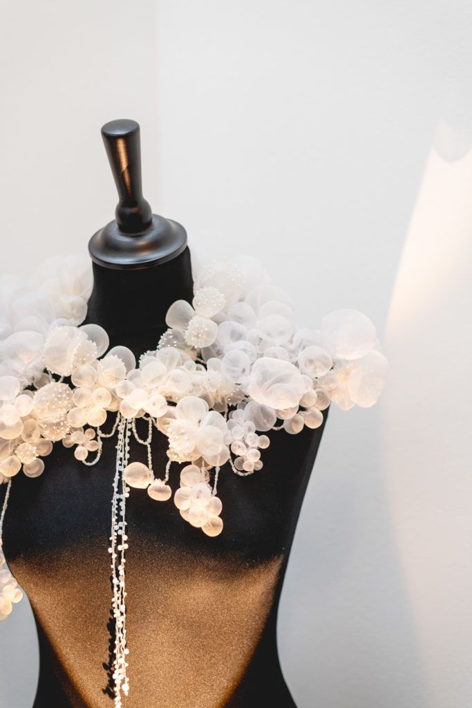 Chimaeriformes fafcea 