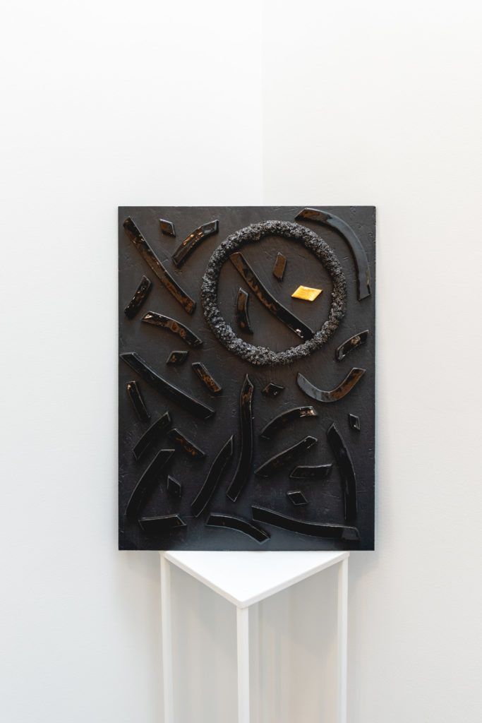 Chimaeriformes fafcea 