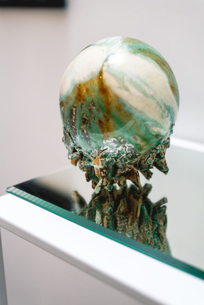 Chimaeriformes fafcea 