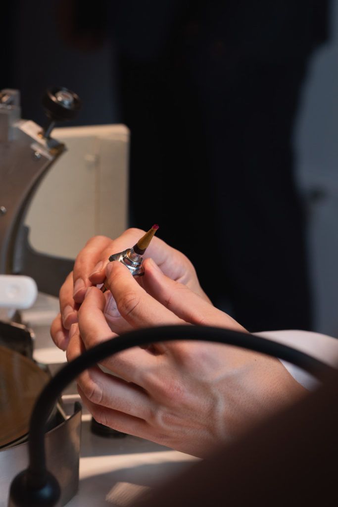 Chimaeriformes les deux mains du luxe retouche 