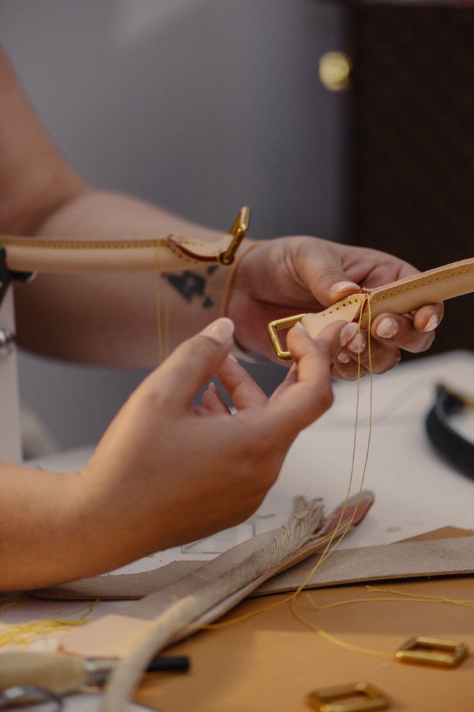 Chimaeriformes les deux mains du luxe retouche 