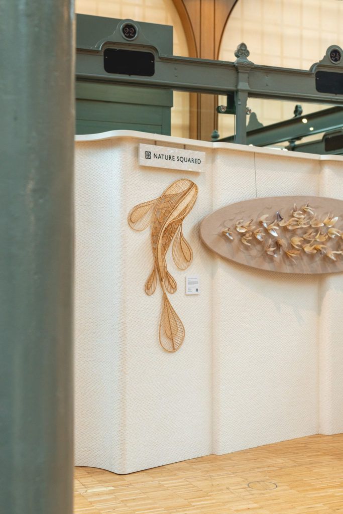 Chimaeriformes les rendezvous de la matiere 