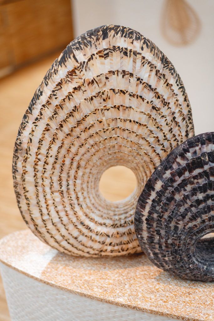 Chimaeriformes les rendezvous de la matiere 