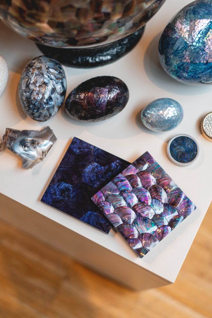 Chimaeriformes les rendezvous de la matiere 