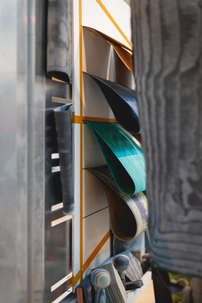 Chimaeriformes les rendezvous de la matiere 