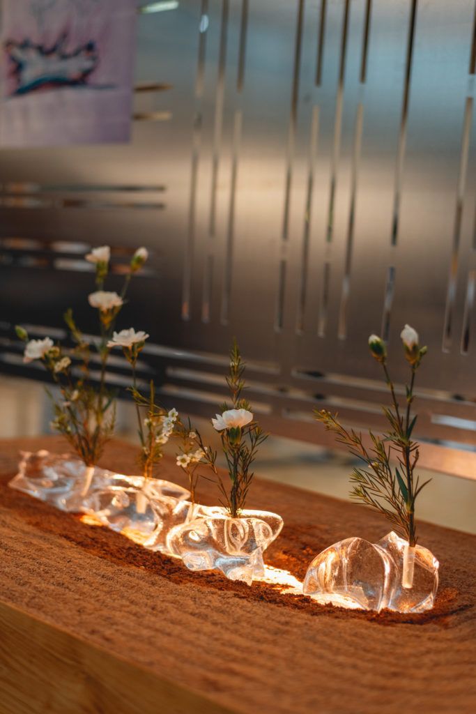 Chimaeriformes les rendezvous de la matiere 