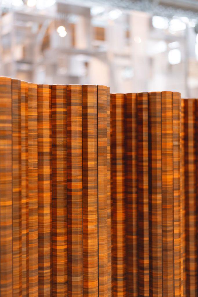 Chimaeriformes les rendezvous de la matiere 