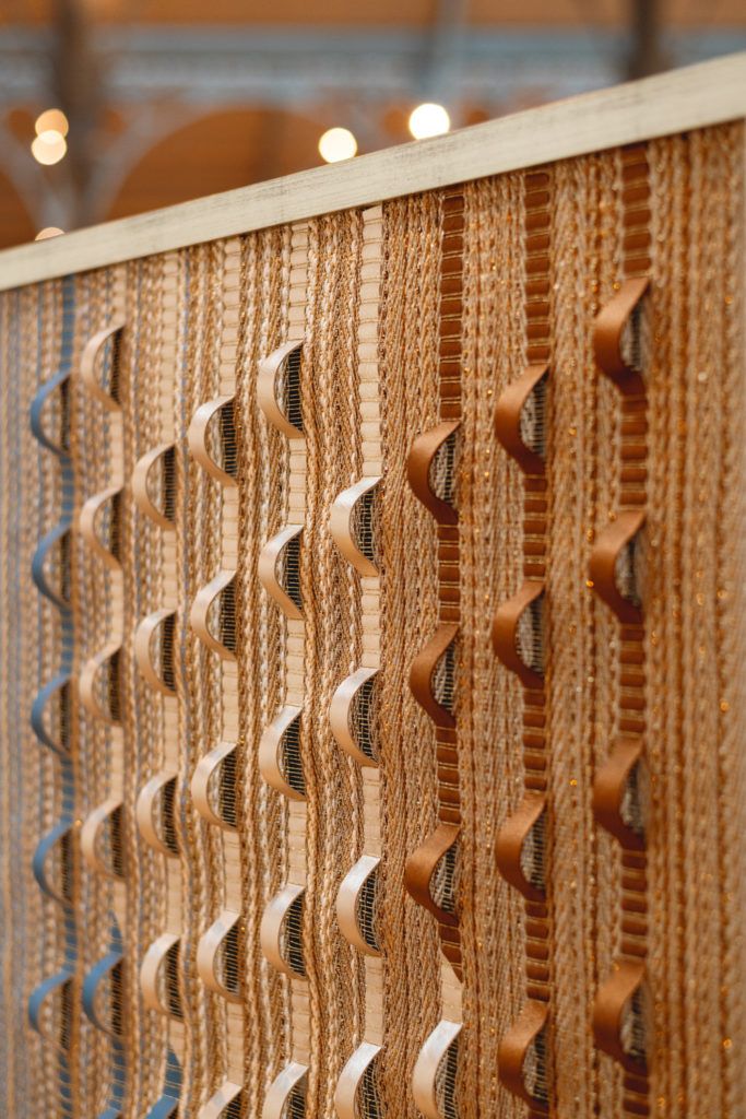 Chimaeriformes les rendezvous de la matiere 