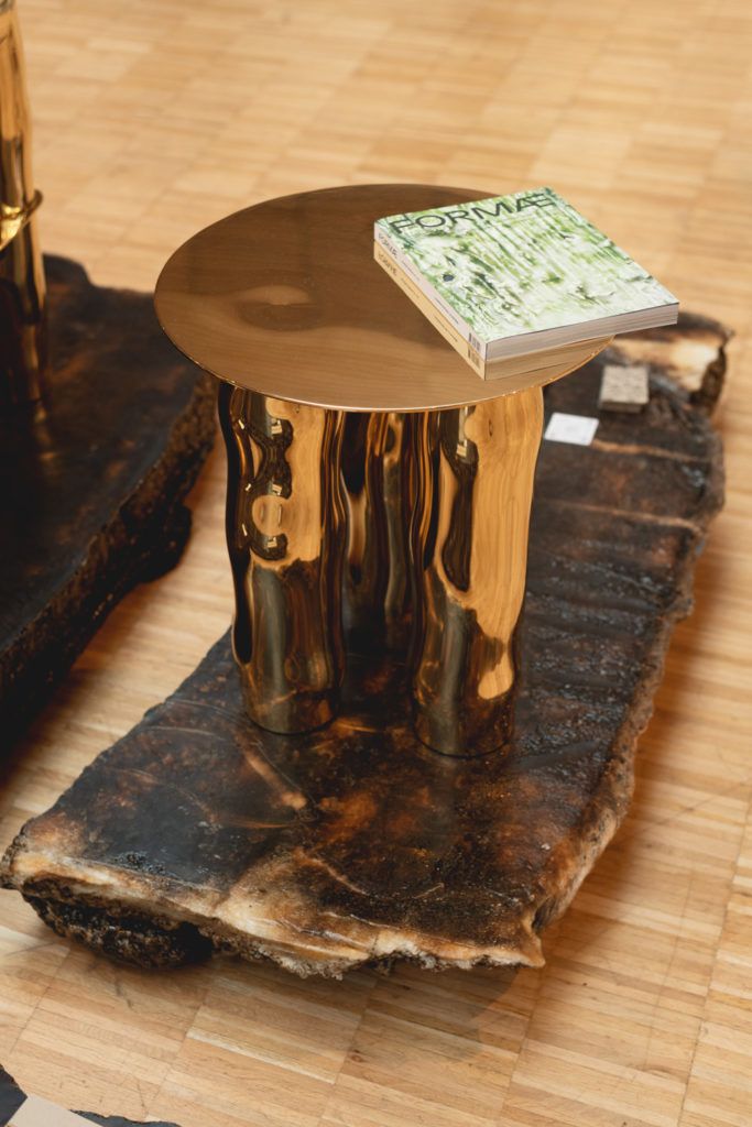 Chimaeriformes les rendezvous de la matiere 