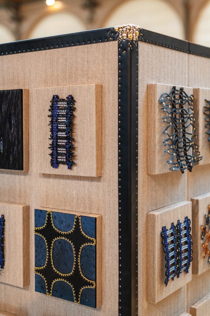 Chimaeriformes les rendezvous de la matiere 