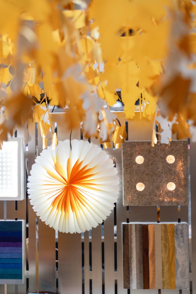 Chimaeriformes les rendezvous de la matiere 