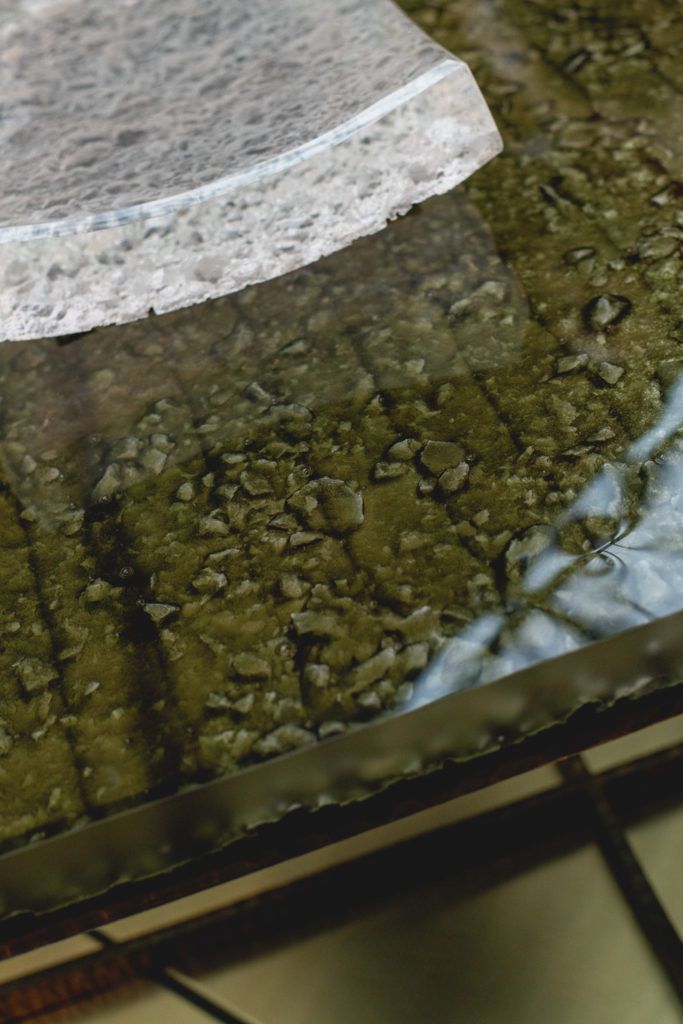 Chimaeriformes les rendezvous de la matiere 