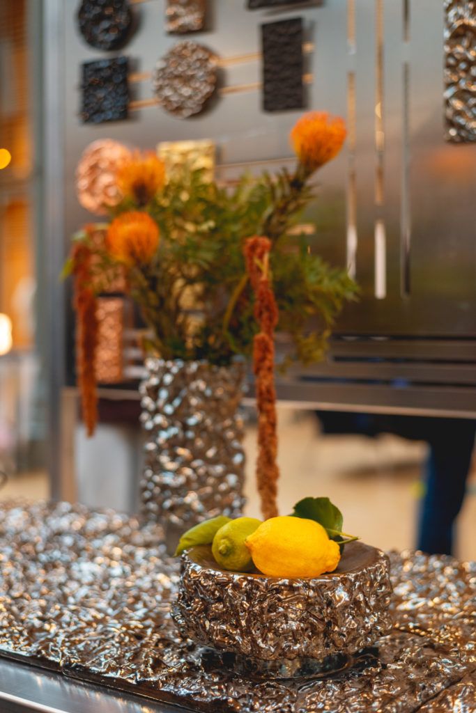 Chimaeriformes les rendezvous de la matiere 