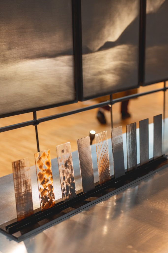 Chimaeriformes les rendezvous de la matiere 