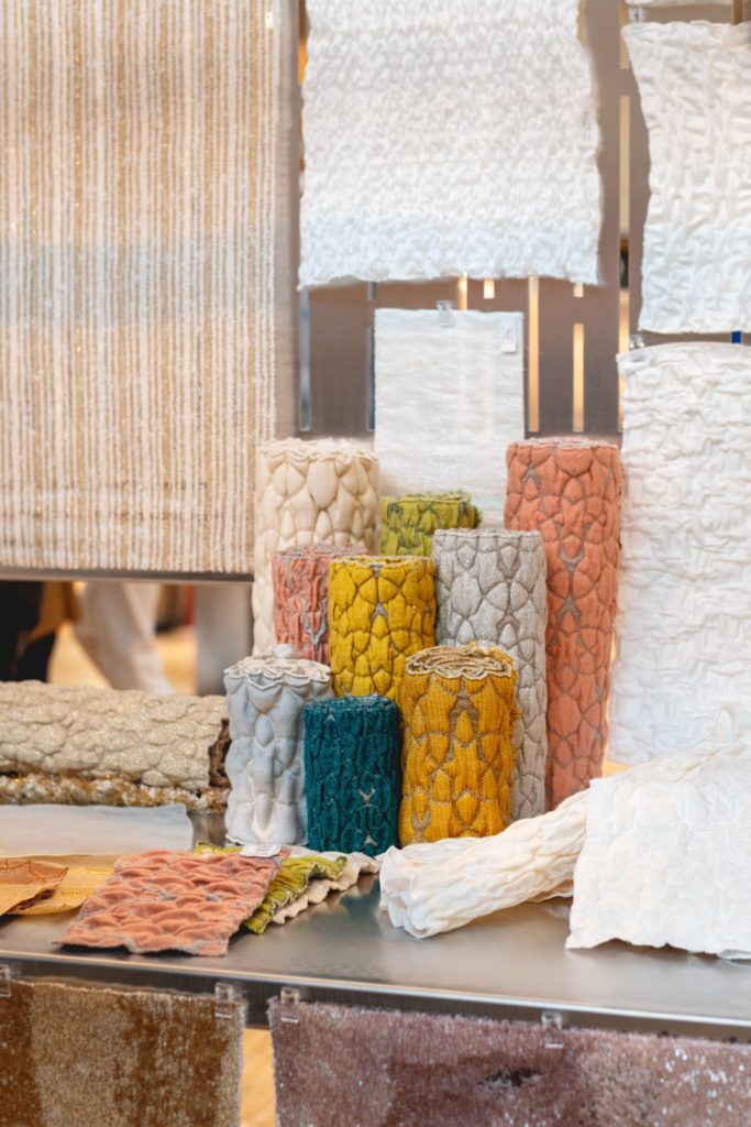 Chimaeriformes les rendezvous de la matiere 