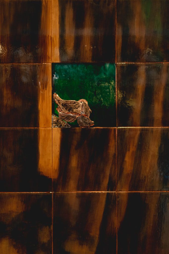 Chimaeriformes les rendezvous de la matiere 