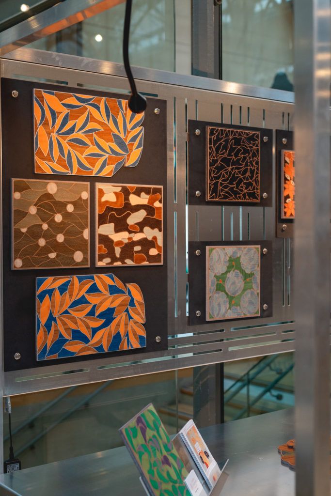 Chimaeriformes les rendezvous de la matiere 