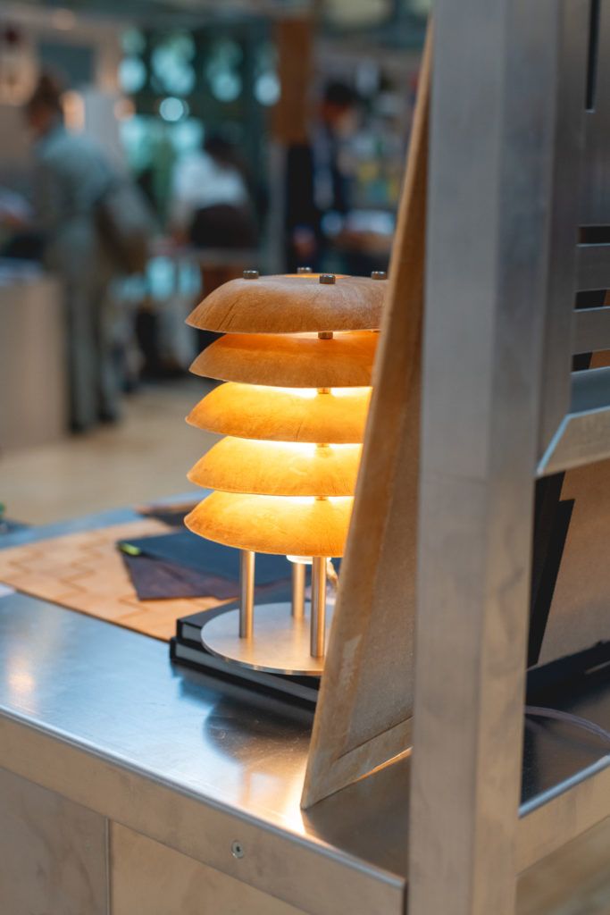 Chimaeriformes les rendezvous de la matiere 