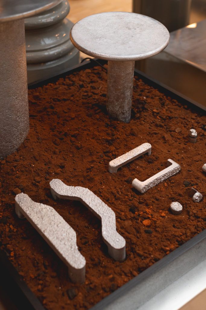 Chimaeriformes les rendezvous de la matiere 