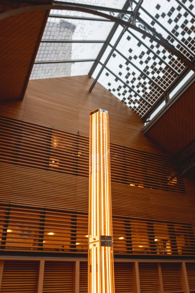 Chimaeriformes les rendezvous de la matiere 