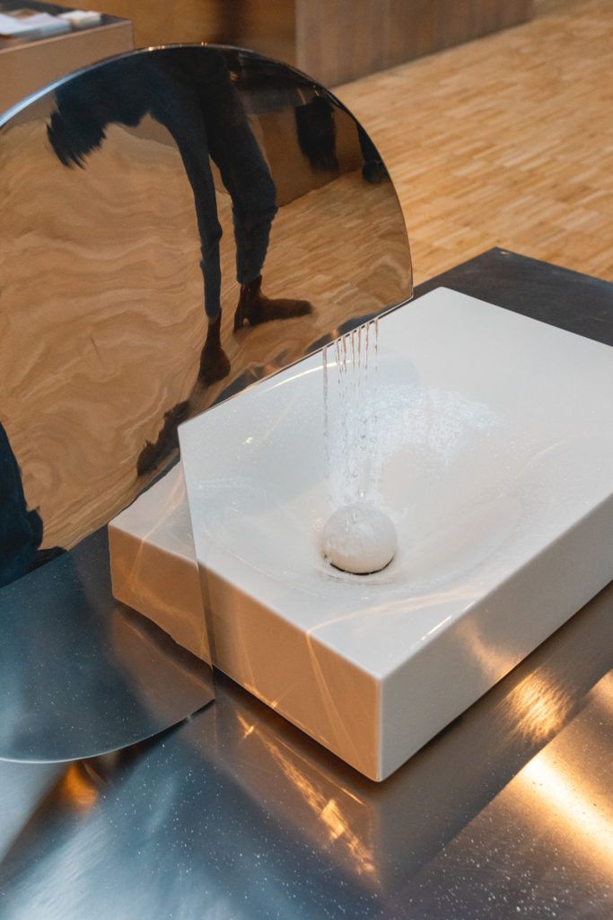 Chimaeriformes les rendezvous de la matiere 